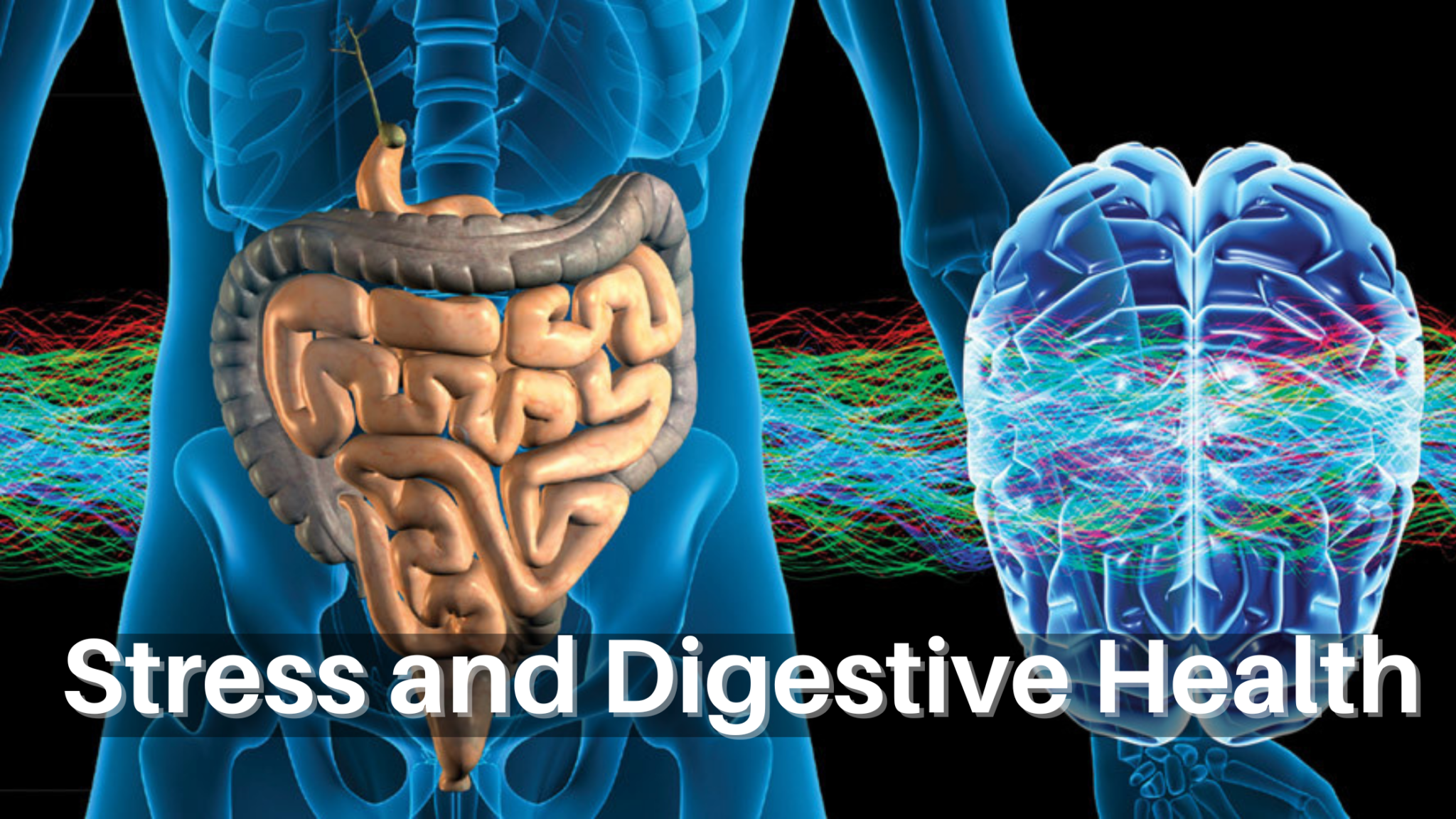 STRESS AFFECTS THE DIGESTION OF HUMAN BODY 